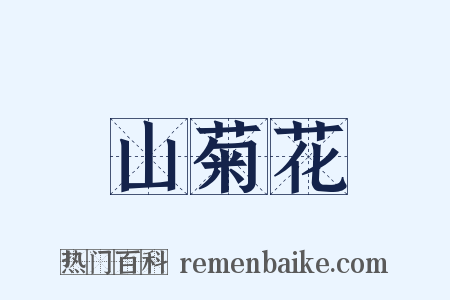 山菊花是什么意思的图片